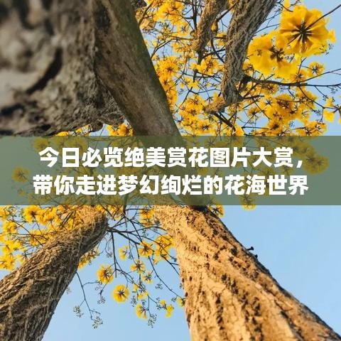 不求甚解