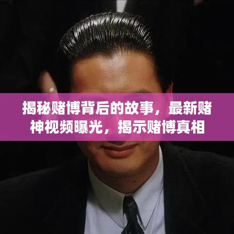 新闻中心 第12页