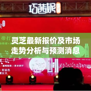 灵芝最新报价及市场走势分析与预测消息今日更新