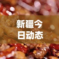 新疆今日动态更新，最新情况速递
