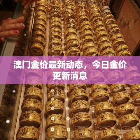 澳门金价最新动态，今日金价更新消息