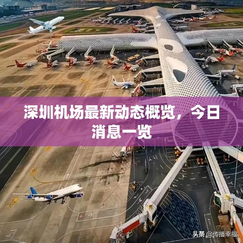 深圳机场最新动态概览，今日消息一览