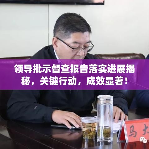 领导批示督查报告落实进展揭秘，关键行动，成效显著！