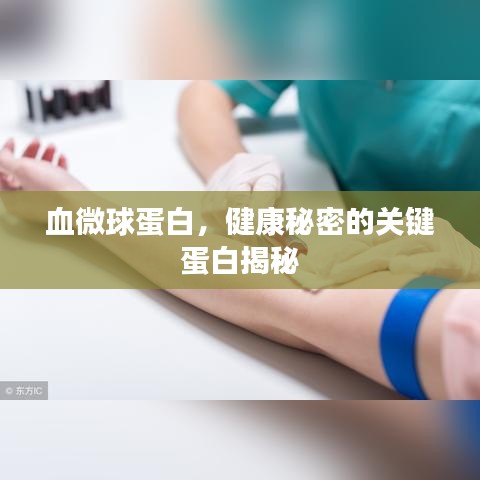 血微球蛋白，健康秘密的关键蛋白揭秘