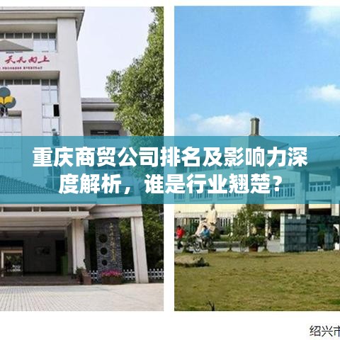 重庆商贸公司排名及影响力深度解析，谁是行业翘楚？