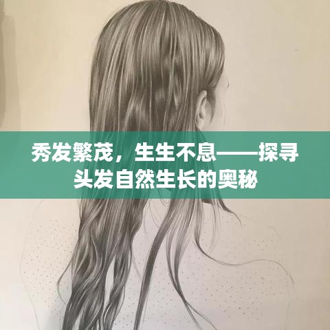 秀发繁茂，生生不息——探寻头发自然生长的奥秘
