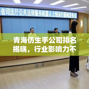 青海仿生手公司排名揭晓，行业影响力不容小觑