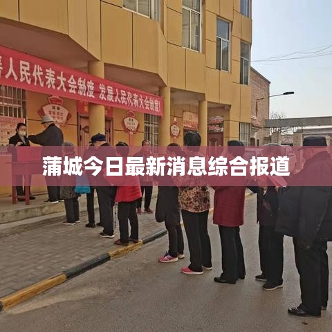蒲城今日最新消息综合报道