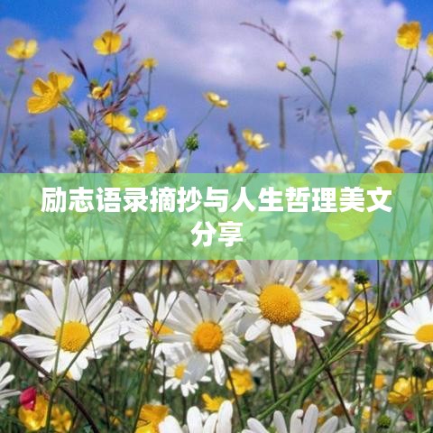 励志语录摘抄与人生哲理美文分享