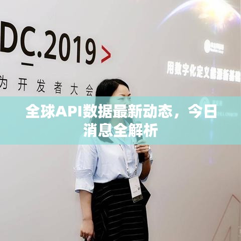 全球API数据最新动态，今日消息全解析