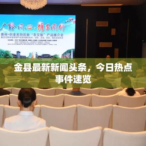 金县最新新闻头条，今日热点事件速览
