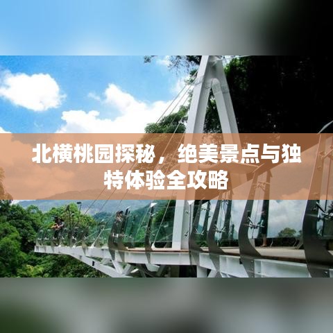 北横桃园探秘，绝美景点与独特体验全攻略