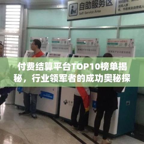 付费结算平台TOP10榜单揭秘，行业领军者的成功奥秘探索