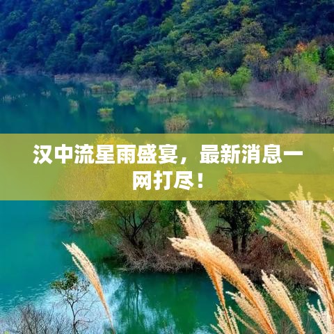 汉中流星雨盛宴，最新消息一网打尽！