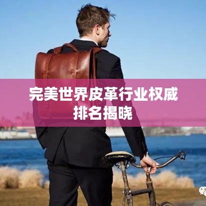 完美世界皮革行业权威排名揭晓