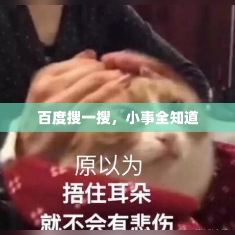 百度搜一搜，小事全知道