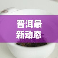 普洱最新动态，今日头条揭秘普洱最新消息