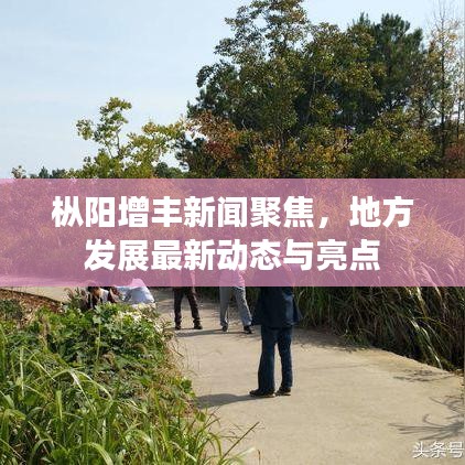 枞阳增丰新闻聚焦，地方发展最新动态与亮点