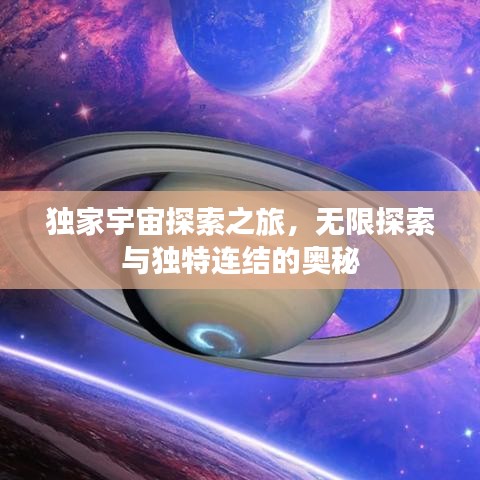 飞蛾扑火