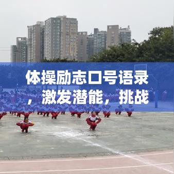 体操励志口号语录，激发潜能，挑战极限！