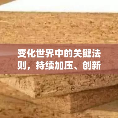 变化世界中的关键法则，持续加压、创新并吸纳建议的力量