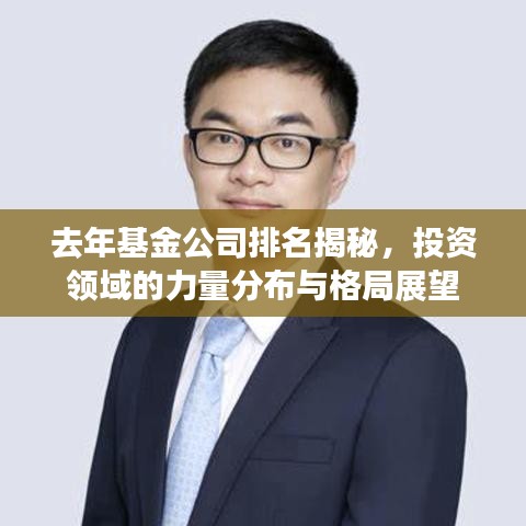 去年基金公司排名揭秘，投资领域的力量分布与格局展望