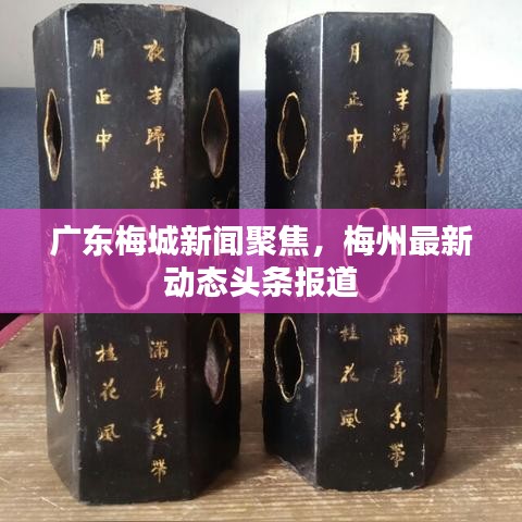 广东梅城新闻聚焦，梅州最新动态头条报道