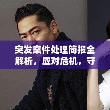 突发案件处理简报全解析，应对危机，守护安全