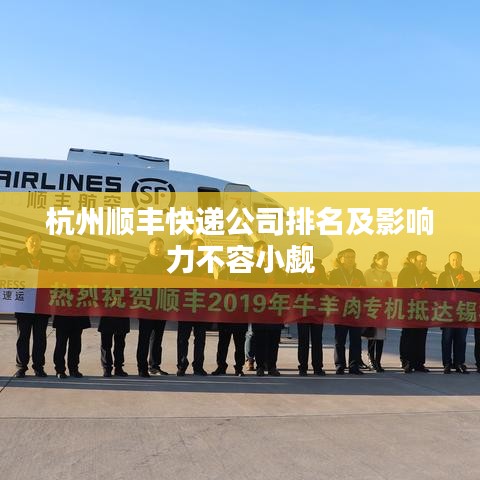 杭州顺丰快递公司排名及影响力不容小觑