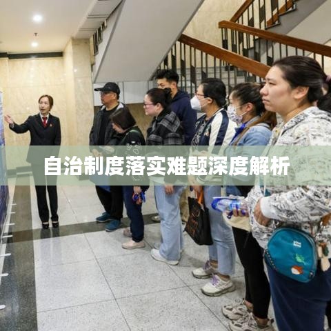 自治制度落实难题深度解析