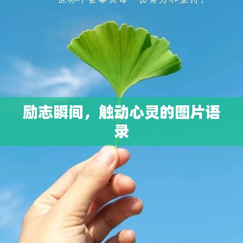 励志瞬间，触动心灵的图片语录
