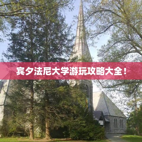 尽心竭力