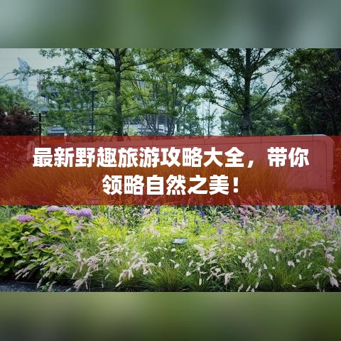 在线留言 第3页