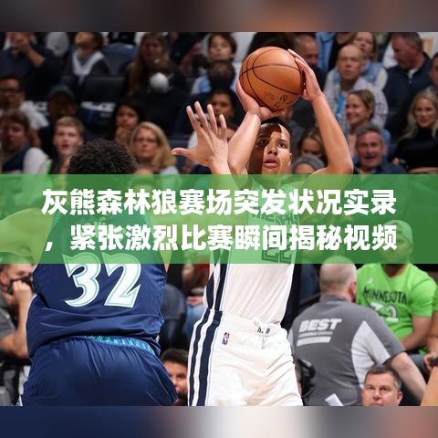 灰熊森林狼赛场突发状况实录，紧张激烈比赛瞬间揭秘视频
