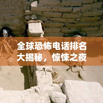 衣不兼采
