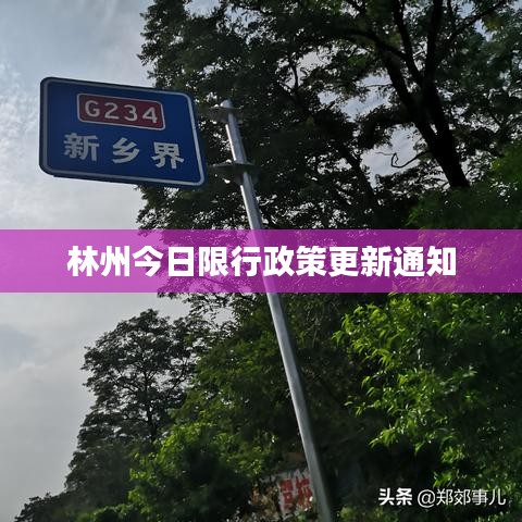 母以子贵