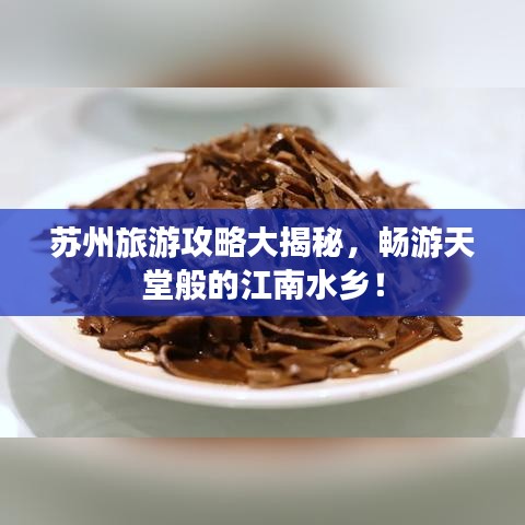苏州旅游攻略大揭秘，畅游天堂般的江南水乡！