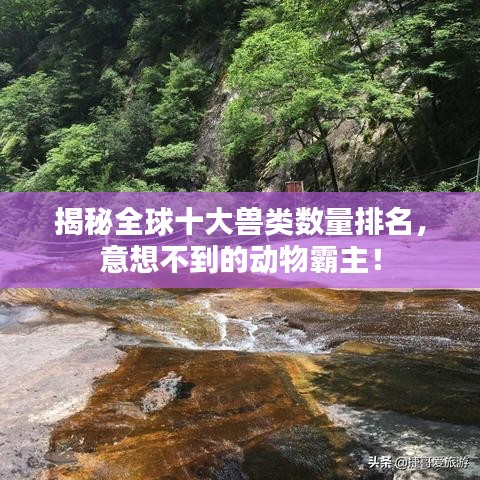 揭秘全球十大兽类数量排名，意想不到的动物霸主！