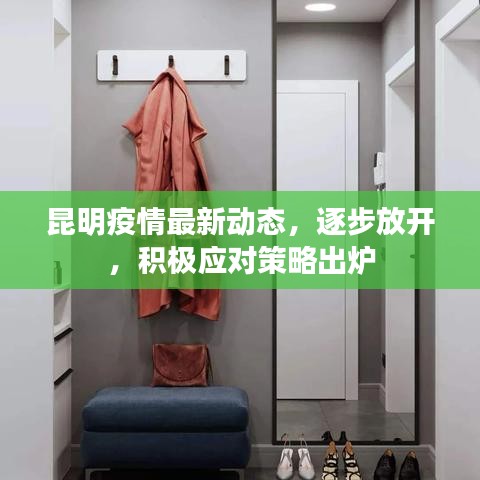 昆明疫情最新动态，逐步放开，积极应对策略出炉