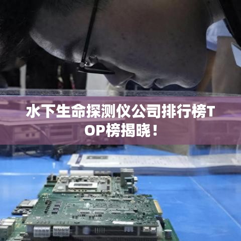 水下生命探测仪公司排行榜TOP榜揭晓！