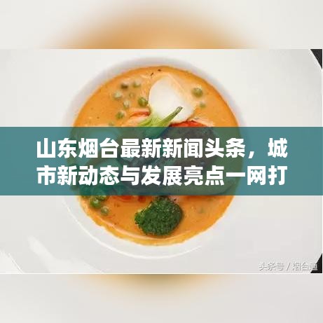 山东烟台最新新闻头条，城市新动态与发展亮点一网打尽