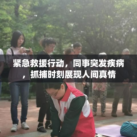 紧急救援行动，同事突发疾病，抓捕时刻展现人间真情