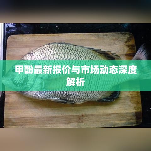 甲酚最新报价与市场动态深度解析
