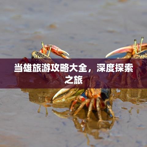 当雄旅游攻略大全，深度探索之旅