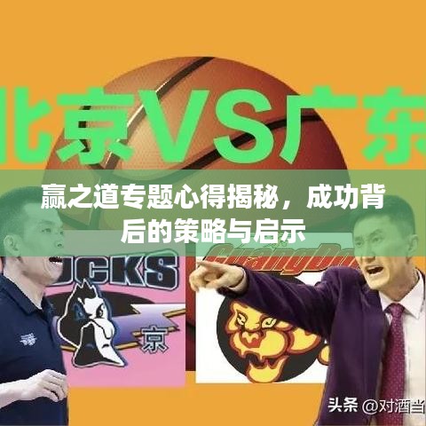 赢之道专题心得揭秘，成功背后的策略与启示