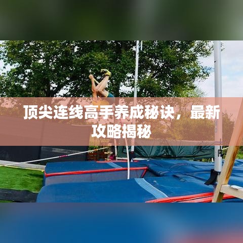 顶尖连线高手养成秘诀，最新攻略揭秘