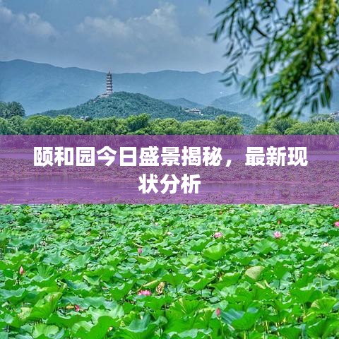 颐和园今日盛景揭秘，最新现状分析