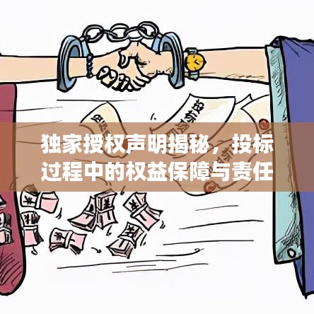 独家授权声明揭秘，投标过程中的权益保障与责任分配