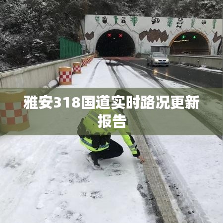 雅安318国道实时路况更新报告