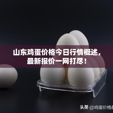 2025年5月26日